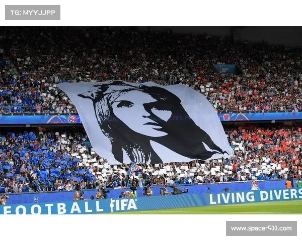 法国职业足球联盟关注尼斯冲突，涉事球迷面临终身禁赛